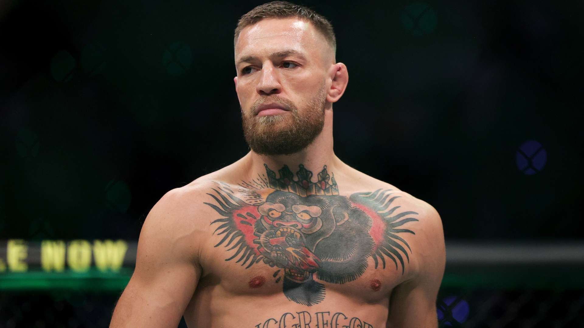 例如核心球 例如核心球